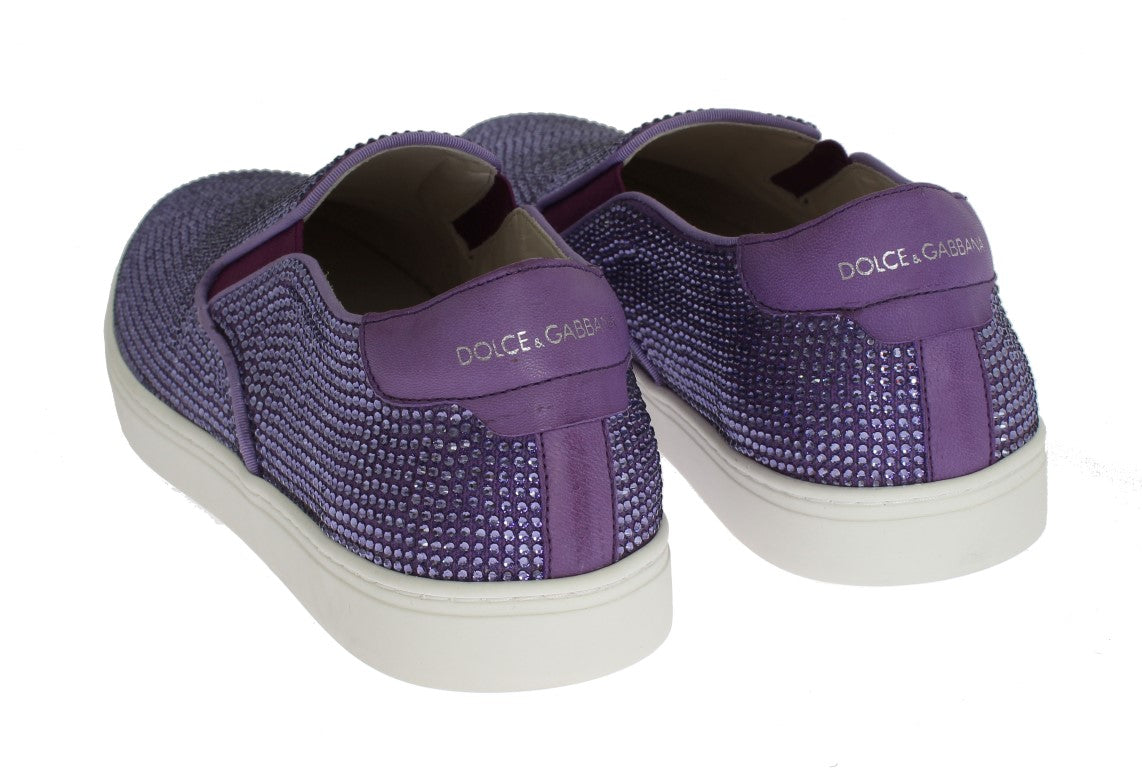 Purple Strass Canvas Logo Sneakers