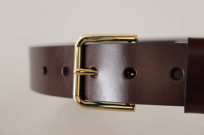 Dolce & Gabbana Brown Polished Leather Gold Tone Metal Buckle Belt